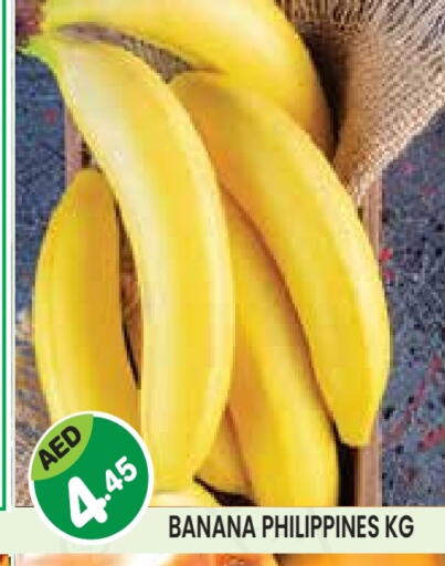 Banana from Philippines available at سنابل بني ياس in الإمارات العربية المتحدة , الامارات - أبو ظبي