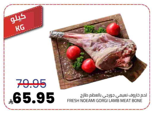 available at أسواق أسترا in مملكة العربية السعودية, السعودية, سعودية - تبوك