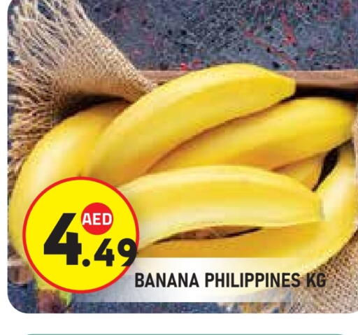 Banana from Philippines available at سنابل بني ياس in الإمارات العربية المتحدة , الامارات - ٱلْعَيْن‎