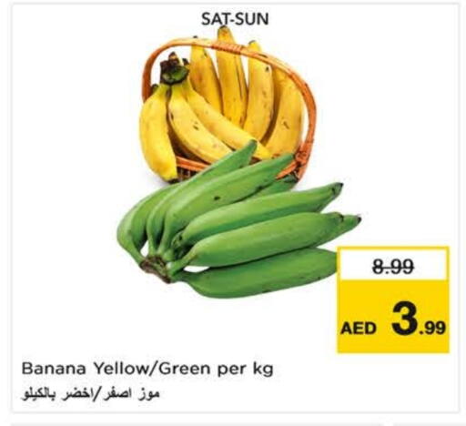 Banana available at نستو هايبرماركت in الإمارات العربية المتحدة , الامارات - ٱلْعَيْن‎