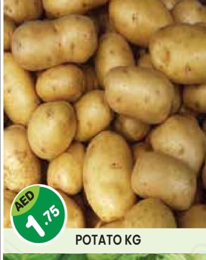 Potato available at Baniyas Spike  in UAE - Abu Dhabi