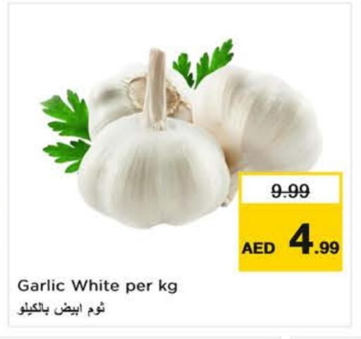Garlic available at نستو هايبرماركت in الإمارات العربية المتحدة , الامارات - ٱلْعَيْن‎