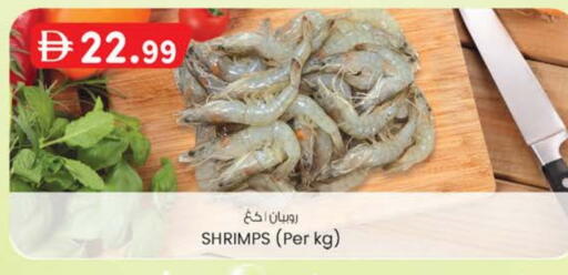 available at Safa Express Supermarket in UAE - Abu Dhabi