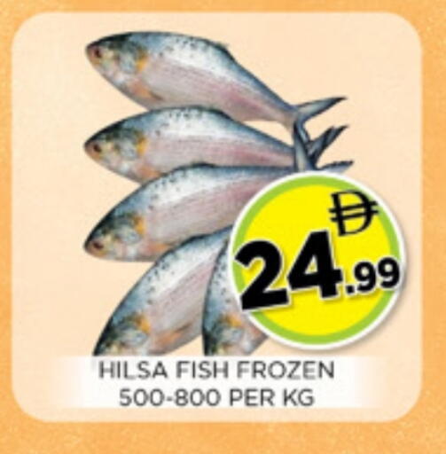 available at Ainas Al madina hypermarket in UAE - Sharjah / Ajman