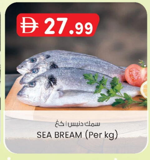 available at الصفا in الإمارات العربية المتحدة , الامارات - ٱلْعَيْن‎