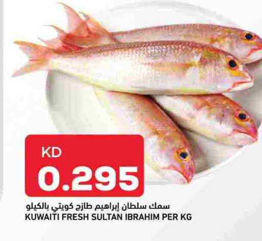 available at أونكوست in الكويت - محافظة الجهراء