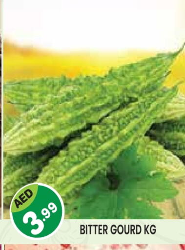 available at Baniyas Spike  in UAE - Umm al Quwain