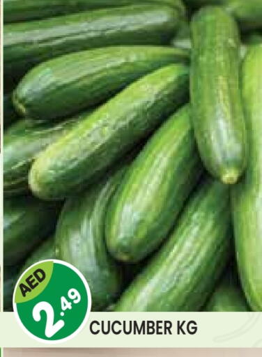Cucumber available at Baniyas Spike  in UAE - Umm al Quwain