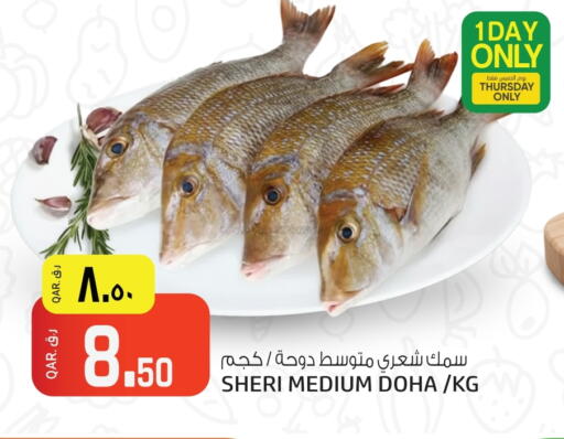 available at Saudia Hypermarket in Qatar - Al Rayyan