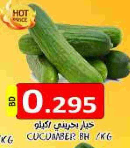 Cucumber available at مجموعة حسن محمود in البحرين