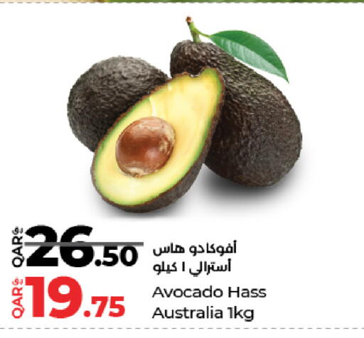 Avocado from Australia available at LuLu Hypermarket in Qatar - Al Wakra