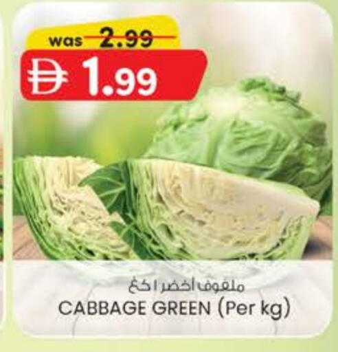 Cabbage available at صفا اكسبريس سوبرماركت in الإمارات العربية المتحدة , الامارات - ٱلْعَيْن‎