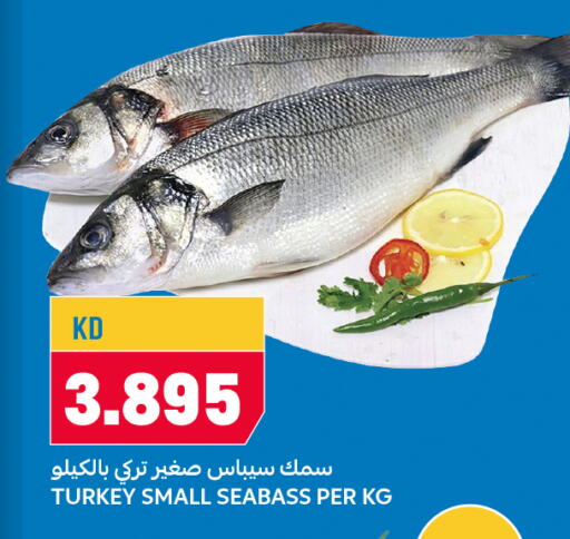 available at أونكوست in الكويت - محافظة الجهراء