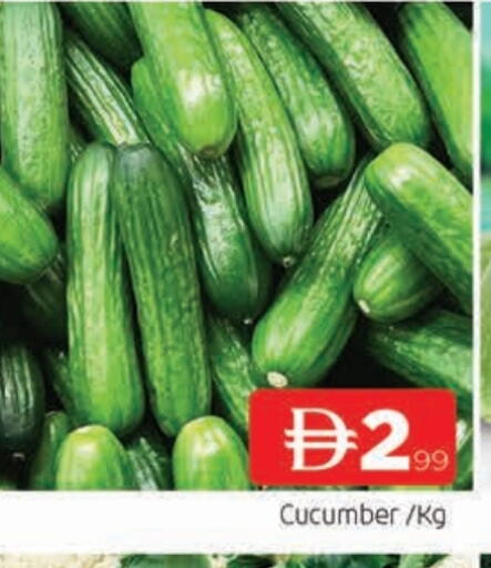 Cucumber available at المدينة in الإمارات العربية المتحدة , الامارات - الشارقة / عجمان