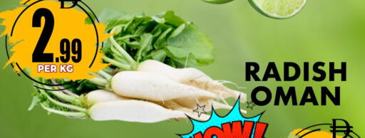 Radish from Oman available at مركز الخصومات سنترو in الإمارات العربية المتحدة , الامارات - دبي