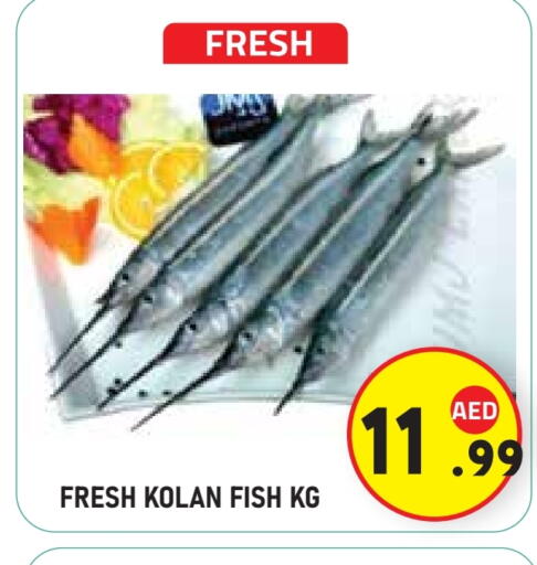 available at سنابل بني ياس in الإمارات العربية المتحدة , الامارات - ٱلْعَيْن‎