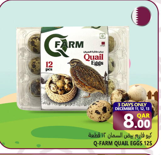 available at قصر الأغذية هايبرماركت in قطر - الخور