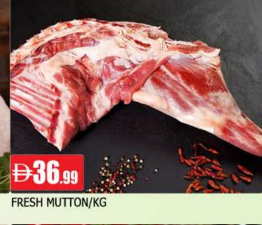 available at AL MADINA in UAE - Sharjah / Ajman