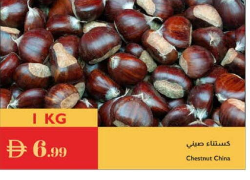 available at Istanbul Supermarket in UAE - Al Ain