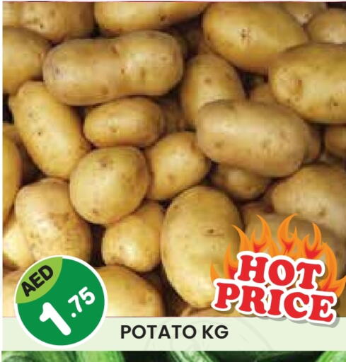 Potato available at Fresh Spike Supermarket in UAE - Dubai
