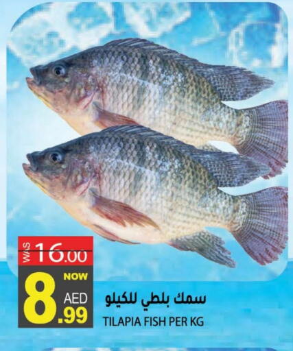 available at هاشم هايبرماركت in الإمارات العربية المتحدة , الامارات - الشارقة / عجمان