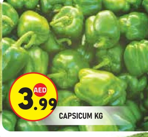 Capsicum available at سنابل بني ياس in الإمارات العربية المتحدة , الامارات - ٱلْعَيْن‎