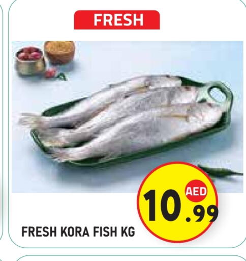 available at سنابل بني ياس in الإمارات العربية المتحدة , الامارات - ٱلْعَيْن‎