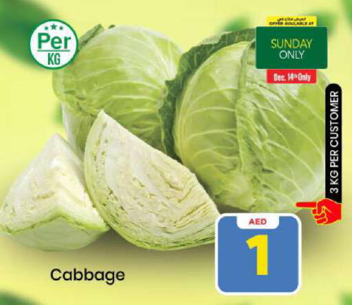 Cabbage available at Mark & Save in UAE - Abu Dhabi