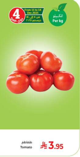 Tomato available at Kabayan Hypermarket in KSA, Saudi Arabia, Saudi - Jeddah