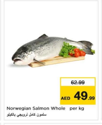 available at نستو هايبرماركت in الإمارات العربية المتحدة , الامارات - ٱلْعَيْن‎