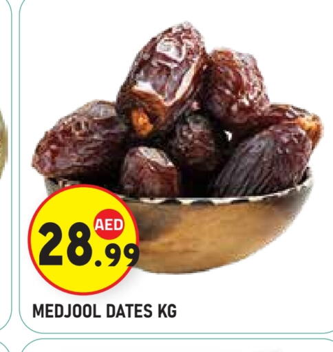 available at سنابل بني ياس in الإمارات العربية المتحدة , الامارات - ٱلْعَيْن‎