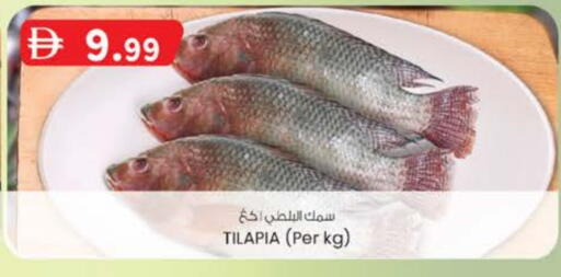 available at Safa Express Supermarket in UAE - Abu Dhabi