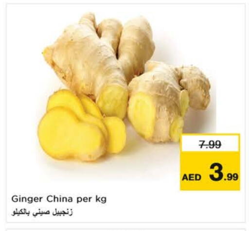 Ginger from China available at نستو هايبرماركت in الإمارات العربية المتحدة , الامارات - ٱلْعَيْن‎