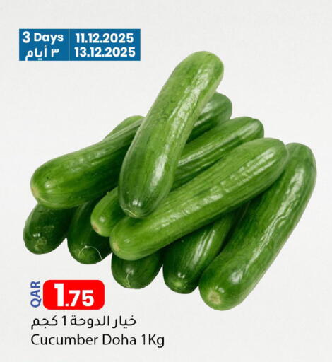 Cucumber from Qatar available at دانا ماركت in قطر - الريان