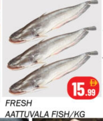 available at سوق المبارك هايبرماركت in الإمارات العربية المتحدة , الامارات - الشارقة / عجمان