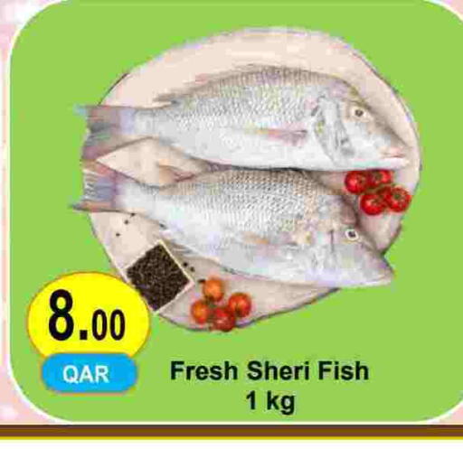 available at Regency Group in Qatar - Al Rayyan