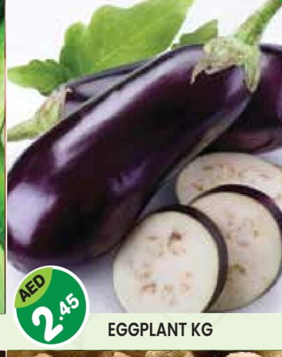 Eggplant available at Baniyas Spike  in UAE - Abu Dhabi