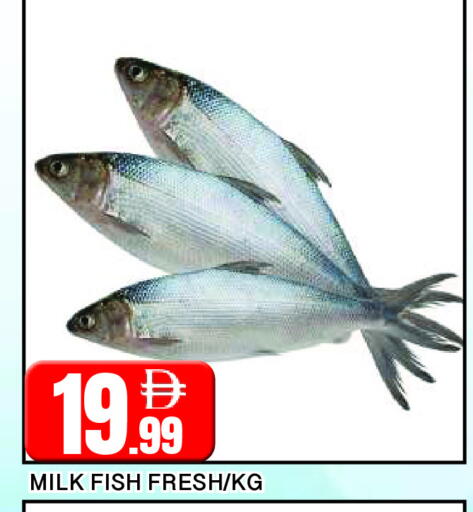 available at AL MADINA in UAE - Sharjah / Ajman