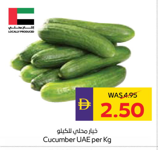 Cucumber available at ADCOOP in UAE - Ras al Khaimah