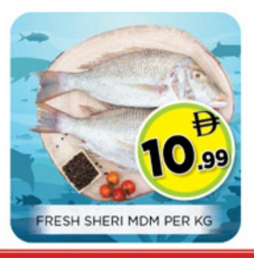 available at Ainas Al madina hypermarket in UAE - Sharjah / Ajman