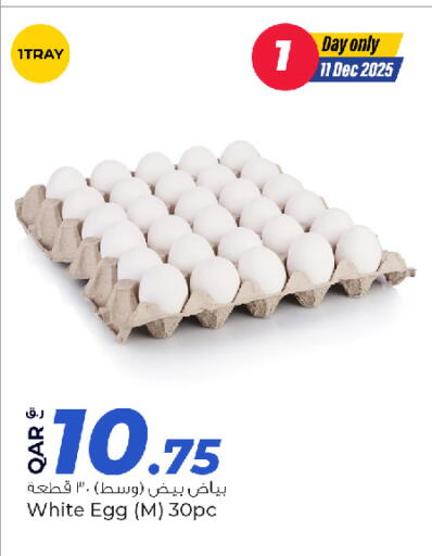 available at روابي هايبرماركت in قطر - الخور