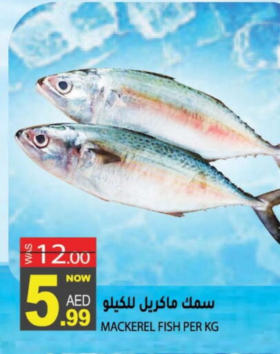 available at هاشم هايبرماركت in الإمارات العربية المتحدة , الامارات - الشارقة / عجمان