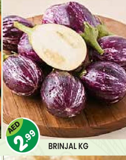 available at Baniyas Spike  in UAE - Umm al Quwain