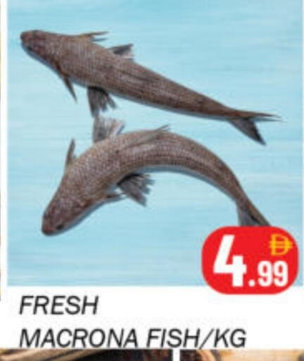 available at سوق المبارك هايبرماركت in الإمارات العربية المتحدة , الامارات - الشارقة / عجمان