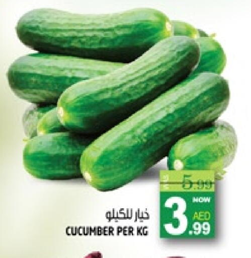 Cucumber available at هاشم هايبرماركت in الإمارات العربية المتحدة , الامارات - الشارقة / عجمان
