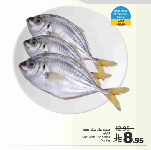 available at LULU Hypermarket in KSA, Saudi Arabia, Saudi - Al Khobar