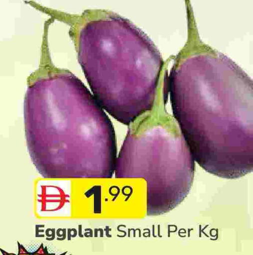 Eggplant available at دريم نايت هايبرماركت in الإمارات العربية المتحدة , الامارات - دبي