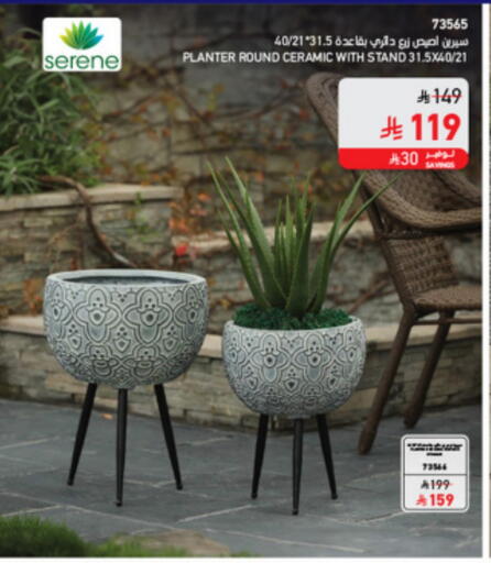 available at SACO in KSA, Saudi Arabia, Saudi - Abha