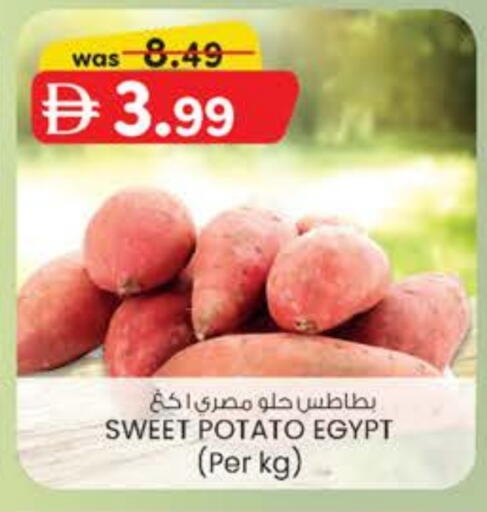 Sweet Potato from Egypt available at صفا اكسبريس سوبرماركت in الإمارات العربية المتحدة , الامارات - أبو ظبي