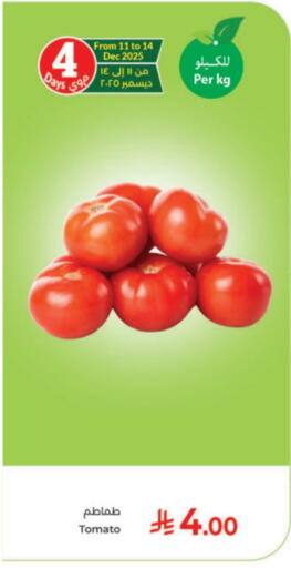 Tomato available at Kabayan Hypermarket in KSA, Saudi Arabia, Saudi - Yanbu